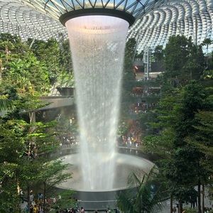 Meet your Posher, Thuy